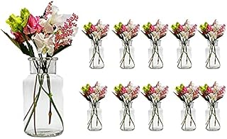casavetro 10 x Vases Round 300 ml H 13,6 cm Glass Vase Decorative Bottles Pharmacy