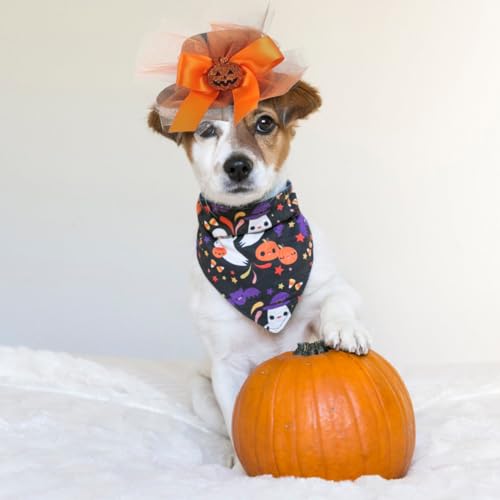 Disfraz Halloween para Perros con Falda y Sombrero miniatura 6