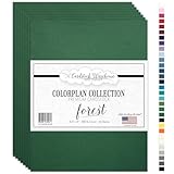 Forest Green Cardstock Paper - 8.5 x 11 inch Premium 100 lb. Cover - 25 Sheets from Cardstock Warehouse