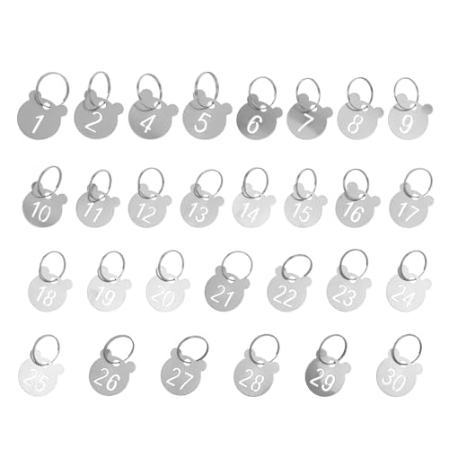 DIKACA 30 Piezas Etiquetas de Acero Inoxidable con Números Colgantes Metálicos con Diseño de Oso Hueco Llaveros Resistentes para Taquillas Casas y Dormitorios de Identificadores Numéricos
