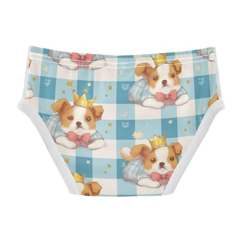 Wusikd Lying Dog Boys' Underwear Cotton Blue White Plaid Boys Briefs Soft Toddler Underwear 2T2