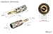 Nakamichi Ultimate Series 24K Gold Plated Beryllium Red Copper Banana Plug 12-18 AWG Gauge Size 4mm Connector for Speakers Wire Amplifiers Hi-Fi Sound Systems (12 Pcs (6-Pairs), Banana Plugs)