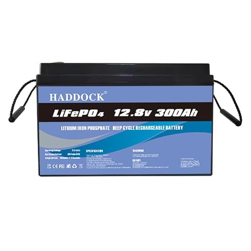 12V 300Ah LiFePO4 Battery, 5000+ Deep Cycle,Rechargeable Lithium Ion Phosphate Leisure Battery with BMS,for Trolling Motor, Kids Scooters, Power Wheels, Fish finder,Outdoor Camping