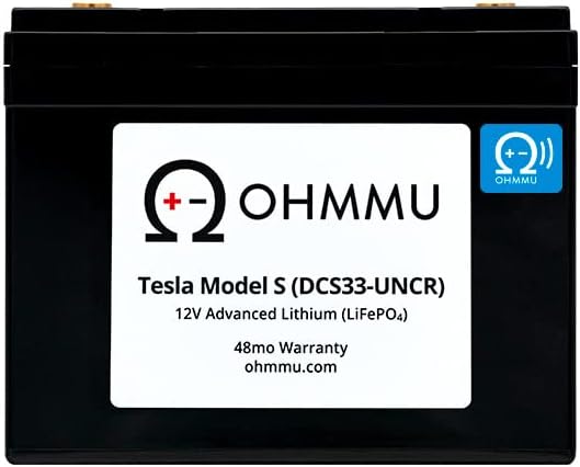 T1230S, 12V Lithium Battery for Tesla Model S