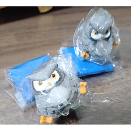 �V�R�Γ�?�ӂ��낤?�A�t���J�I�I�R�m�n�Y�N�J�^