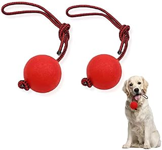 2 Pcs Pet Toy Ball, Ball with Rope Dog Toy,Rubber Ball Dog Toy,Dog Toy Ball for Throw and Tug of War (Small &Medium Dog)
