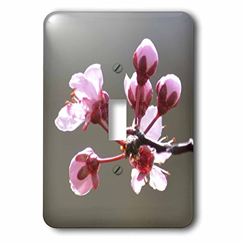 3dRose LSP_51353_1 'Pink Blooms interruptor de palanca simple
