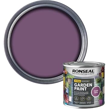 AOC24 Garden Fence Paint 250ml – Multi-Surface Exterior Paint for Wood, Brick, Metal, Stone & Terracotta – Waterproof, Resists Fading, Matt Finish for Sheds, Fences, Garden Furniture Purple Berry