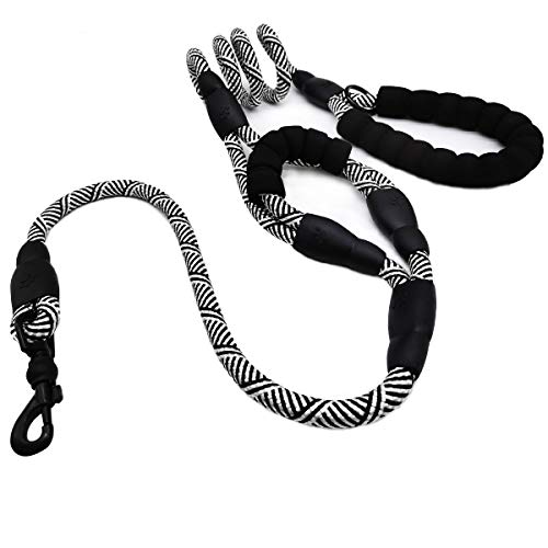Finding The Perfect DoubleHandled Dog Leash To Keep Your Pet Secure