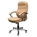 Produktbild Echtleder Bürostuhl Rom beige Büro Ausstattung Leder Chef Sessel Stuhl Drehstuhl Büroausstattung Homeoffice Home Office