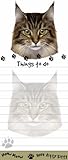 'Maine Coon Cat Magnetic List Pads' Uniquely Shaped Sticky Notepad Measures 8.5 by 3.5 Inches