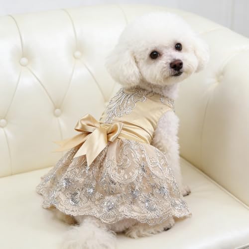 Vestido de encaje para perro color champagne talla S miniatura 2