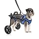 Pvirbravoo Dlm-01 Hunderollstuhl für kleine Hunde, verbesserte All-Terrain-Reifen, verstellbarer Hunderollstuhl, reflektierendes Sicherheitsdesign für behinderte oder verletzte kleine Hunde