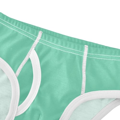 ODAWA Medium Aquamarine Boy Boxer Briefs Toddler Boy Underwear Boys Underwear Size 5t4