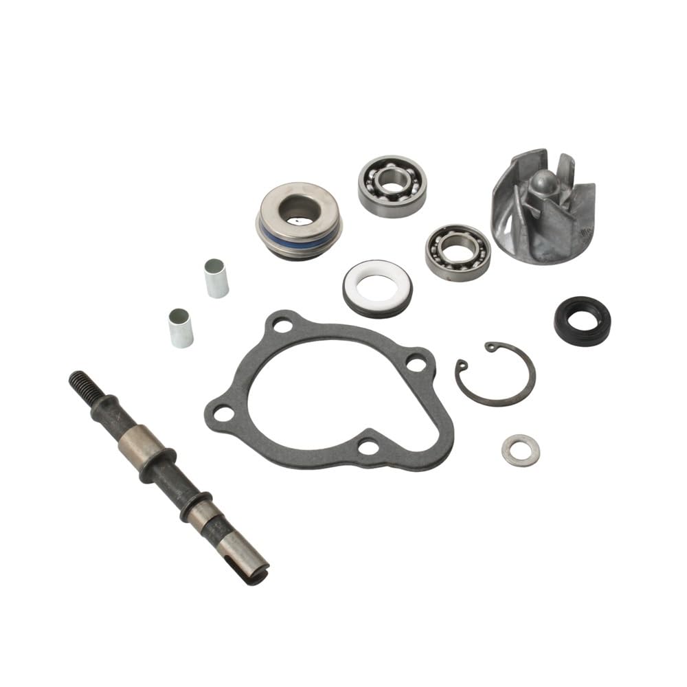 Kit de réparation d'eau pour quad Mxu300 Maxxer G-Dink 300cc 4T réf 100110460