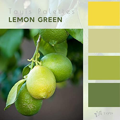 Tayis Lemon Green Throw Pillow Covers Set Of 4,Accent Velvet Soft Square Pillow Case 18X18In, Decorative Pillows Cushion Home Neutral Decor For Sofa Bedroom Car Couch #TOP2