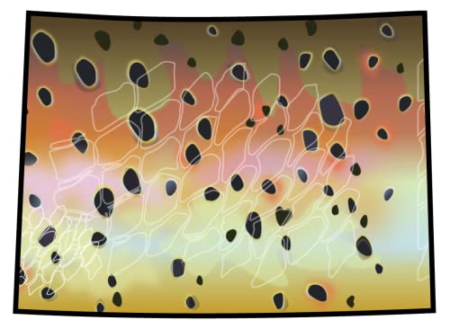 Teton Outdoors Colorado State Trout Fly Fishing Bumper Sticker Decal Set Waterproof Vinyl Great Gift For Angler Fits Jeep Truck Boat Car Brook Trout Brown Trout Rainbow Trout Cutthroat Trout Golden Trout #TOP4