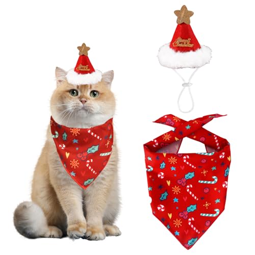 ybg NX}X Xq 悾ꂩ 2_Zbg NX}X  L RXv  ybg o_i X^C t^I Merry Christmas 蕨   ybg p Lp RX`[ ϐg  LOBe (bh, S)