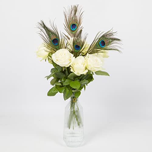 Tobeautypro Peacock Feather 25Pcs 10-12Inch（25-30Cm）Natural Peacock Eye Feather Plume For Diy Craft，Home Wedding Christmas Halloween Party Costume Decoration，Dress Up Carnival Parade Festival #TOP4