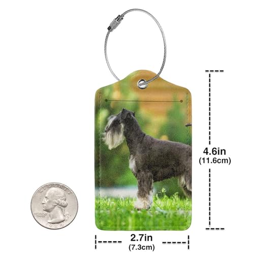 Étiquette bagage cuir Schnauzer chic avec boucle inox pour valise - 5