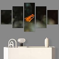 SIGNWIN 5 Panel Canvas Wall Art Amphibians Closeup Decorative Elements Frog Hallway Impressionism Multicolor for Home Decorations Ready to Hang - 60