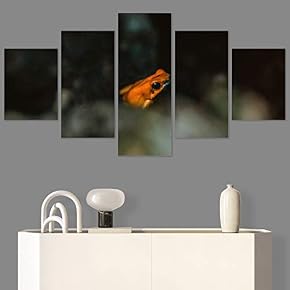 SIGNWIN 5 Panel Canvas Wall Art Amphibians Closeup...