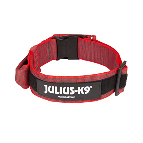 JULIUS K-9 200HA-K-R-2015 Color & Gray series- K9-Halsband mit Haltegriff, Sicherheitsverschluss und Logo und Sicherheitsverschluss, 50 mm*49-70 cm, verstellbar, rot-grau, 50 mm (49-70 cm)