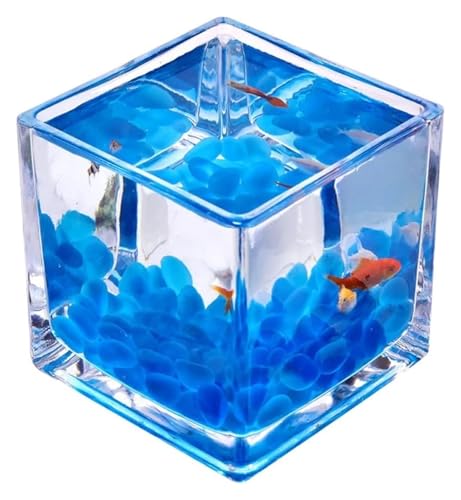 金魚鉢、テーブル アクアリウム ボウル、 ガラススクエアフィッシュタンク 厚みのあるテーブルトップ 透明ファイティングフィッシュボウル(Medium)
