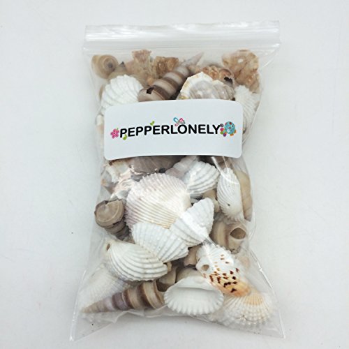 Pepperlonely Small Drilled Shell Mix Sea Shells, 6 Oz Apprx. 60+ Pc Shells, 1-1/2 Inch #TOP6