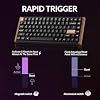 Keychron K2 HE Rapid Trigger Wireless Custom Keyboard with Hall Effect Gateron Double-Rail Magnetic Switch, QMK 2.4 GHz Bluetooth 5.2 RGB Compatible with Mac Windows Linux (Aluminum + Wood)