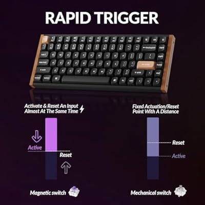 Keychron K2 HE Rapid Trigger Wireless Custom Keyboard with Hall Effect Gateron Double-Rail Magnetic Switch, QMK 2.4 GHz Bluetooth 5.2 RGB Compatible with Mac Windows Linux (Aluminum + Wood)