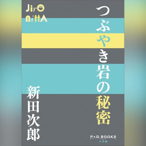 Page de couverture de つぶやき岩の秘密　P+D BOOKS