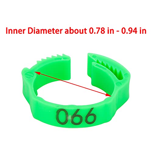 100 Pcs Numbered Poultry Chicken Leg Ring Band Clip-On Adjustable Buckle Ring For Chicken Goose Pigeon Dove Duck Small Poultry (Green) #TOP4