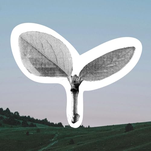 Can We Really Put Planet Over Profits? How to Spot and Avoid Greenwashing