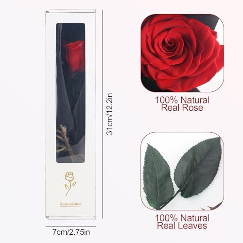 elthmpr Infinity Rose rosa am Stiel - Echte Konservierte Rose in Geschenkbox Geschenke für Frauen Ewige Rose in Ihrem GeburtstagsjubiläUm Muttertag Weihnachten