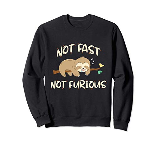 Sloths - Not Fast Not Furious - Cute Sleeping Sloth Lover Sudadera