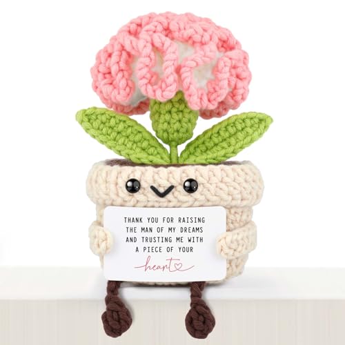 HeartGlint Mother in Law Gifts for Mother’s Day, Mother in Law Birthday Wedding Gifts, Mini Crochet Pink Carnation Flower with Message Card
