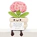 HeartGlint Mother in Law Gifts for Mother’s Day, Mother in Law Birthday Wedding Gifts, Mini Crochet Pink Carnation Flower with Message Card