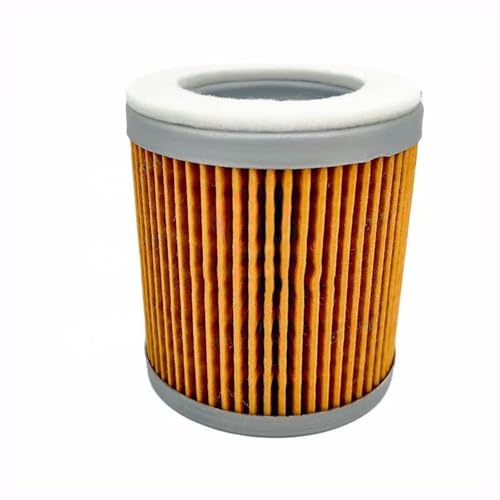 Filtre de pompe à vide Becker 909529 pour maintenance de palettes rotatives