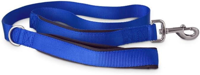 YOULY The Champion 2-in-1 Blue Dog Lead, 4 ft.