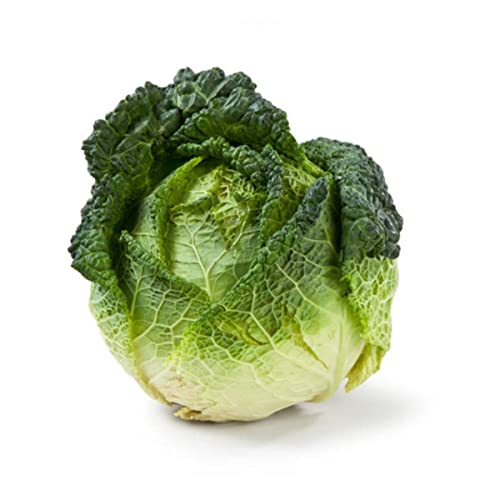 Sementes de Repolho Crespo de Milão ISLA
