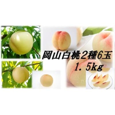 岡山白桃食べ比べ 早生種 6玉2種類