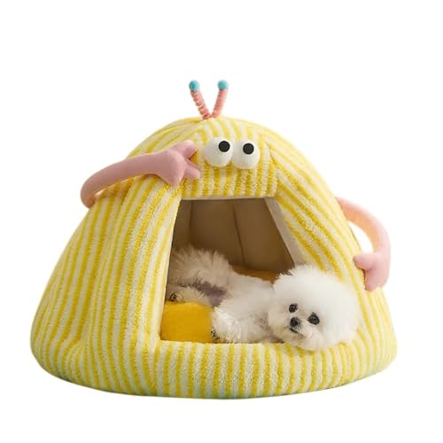 BtcFuA~̒gA͂tAybgegAnEXA^AefBnEXALnEXAI[V[YO\ (L: 60*45cmcm (15҈ȉ̃ybg, )