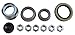 Kodiak 12 in. Hydraulic Trailer Disc Brake Kit w/Bearings Seals (1 Axle)