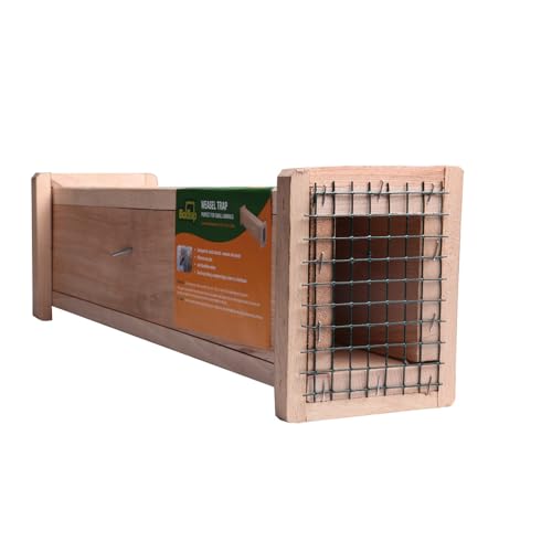 BOXTRAP - Belletière en Bois - Piège Inoffensif pour Belettes, Hermines, Rats et Nuisibles de Petite Taille - avec Palette à Système Anti-Retour - 49 x 6 x 8 cm