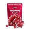 LEVO Gummy Mix - Raspberry - Make Your Own Infused Gummies - Each Bag Makes 64 Gummies - 1 Pack (Packaging May Vary)