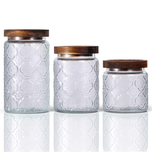 SHENLIU 3Pcs 17/24/34 oz Glass Jar with Lid