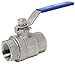 Dixon SSBV300 Stainless Steel 316 Ball Valve, 3" NPT Female