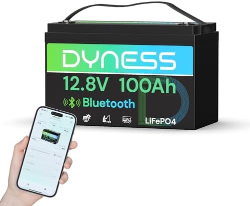 Dyness LiFePO4 12V 100Ah Lithium Batterie Bluetooth mit 100A BMS, Max.15000 Zyklen, 12V Deep Cycle Lithium Eisenphosphat Batterie für Wohnwagen, Solar Home Systeme, Boote
