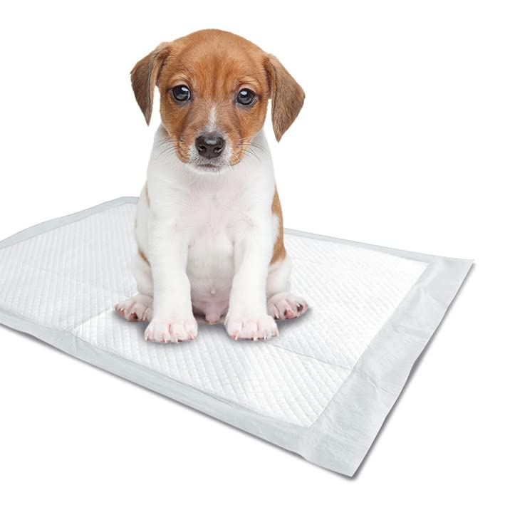 Pack of 30, Puppy Training Pads 40 x 50cm Absorbent Anti Slip- No Leaking Quick Dry Dog Pads